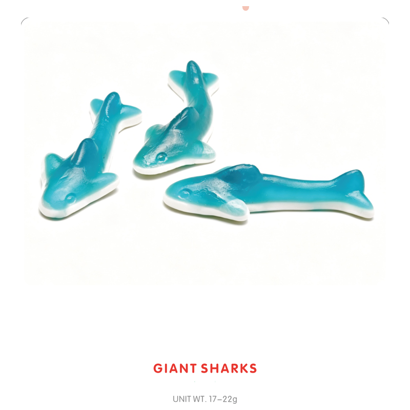 Giant Shark Gummy Candy